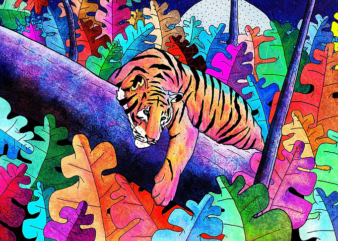 The lazy tiger