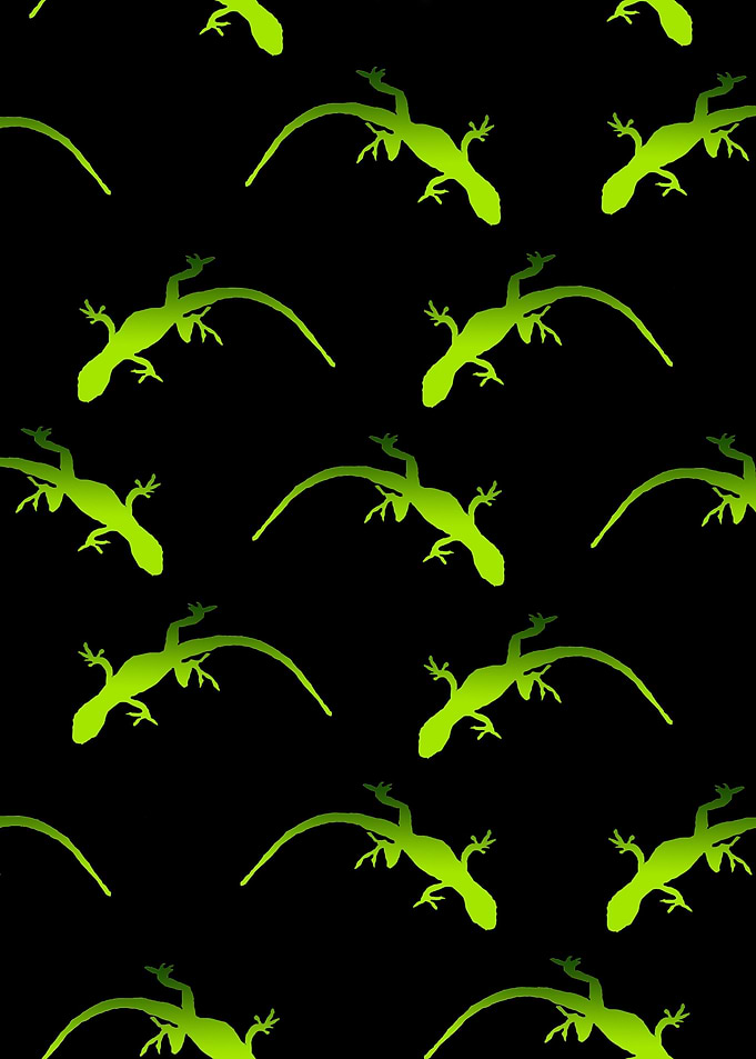 Gecko Pattern