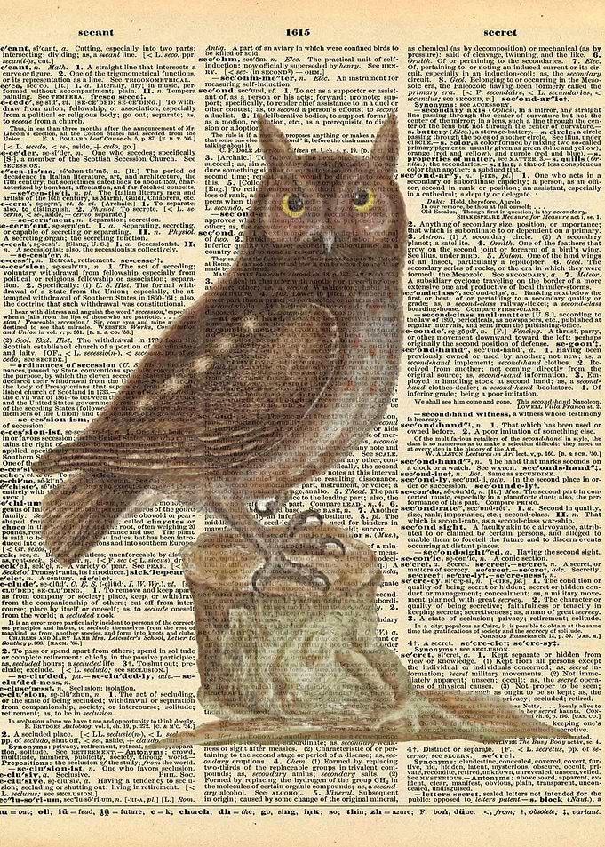 Owl on Dictionary Page