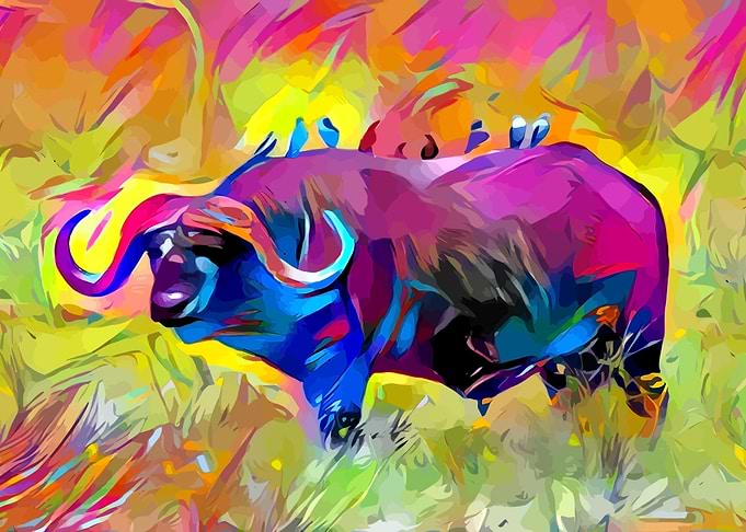Buffalo