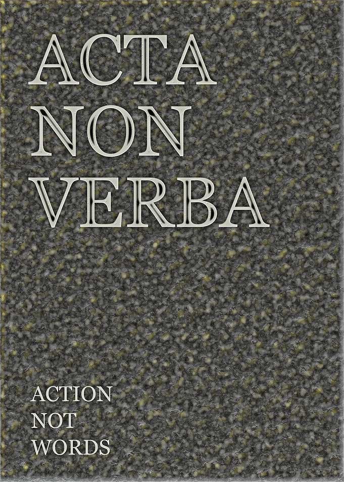 Action Not Words