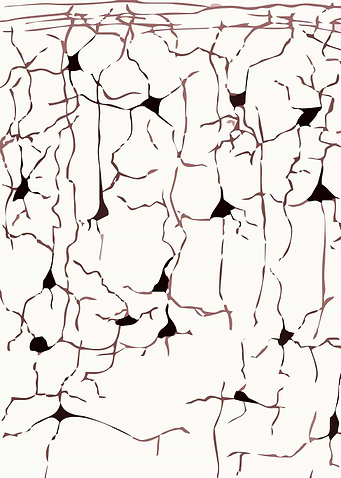 Emergent Cortex