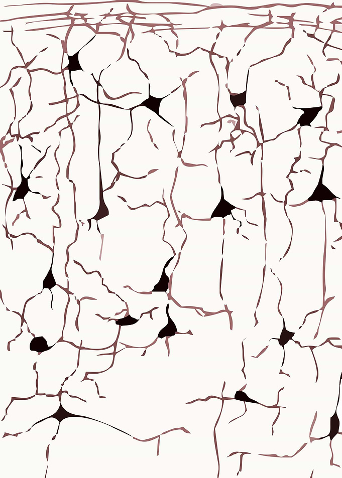 Emergent Cortex