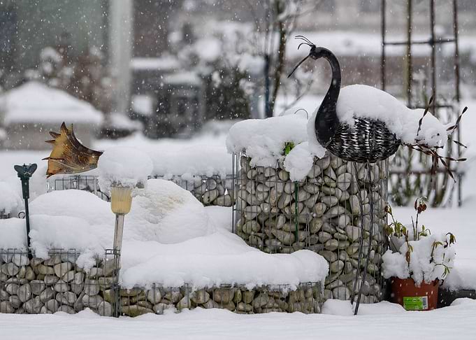 Winter