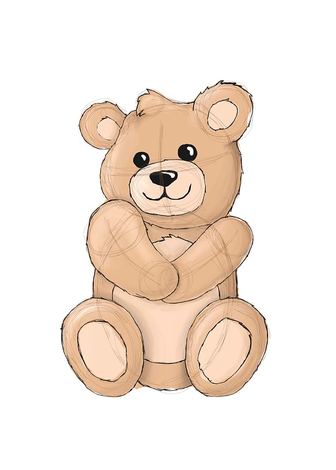 Sketched teddy