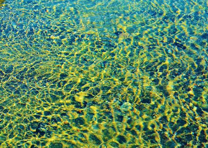 tropical water