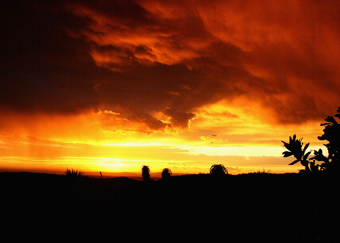 Sunset 04