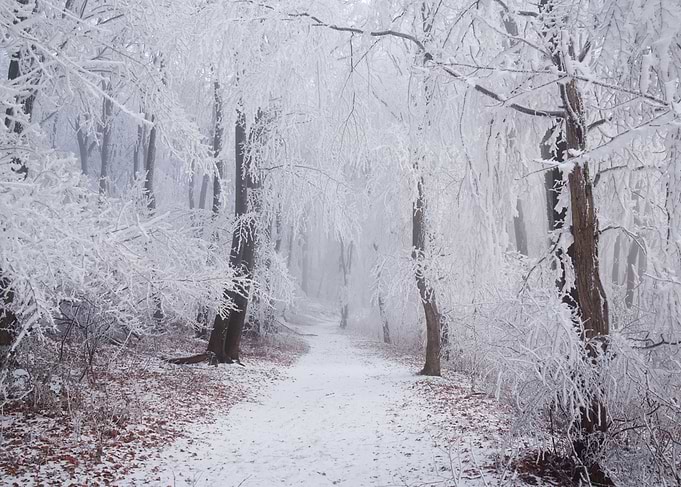 Winter Wonderland III