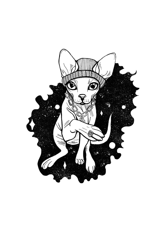 Catoddity