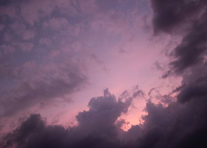 Purple Sunset