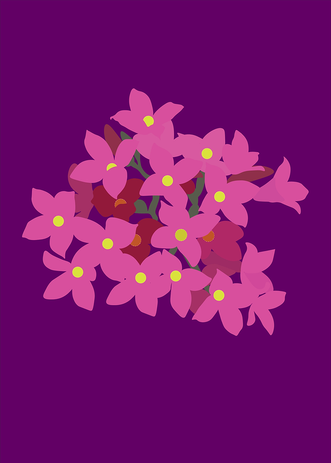 Pink blossom on purple