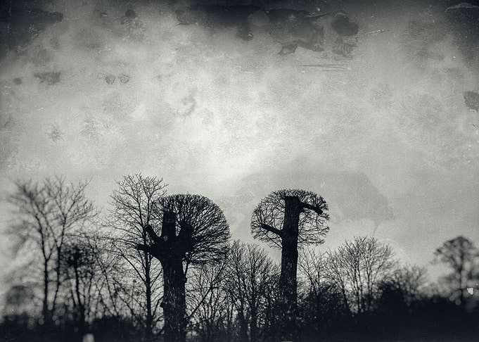 Slanted trees