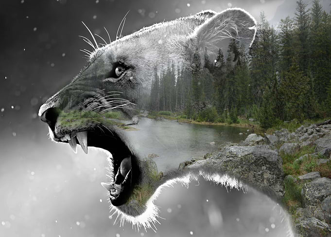 Lion Double Exposure