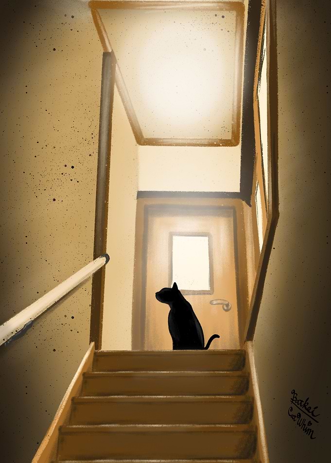 On the stairs
