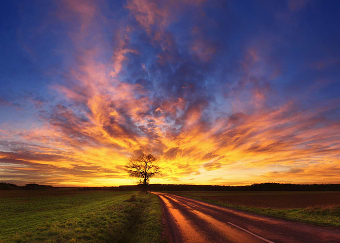Roadside sunset