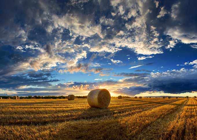 Hay Bale Sunset