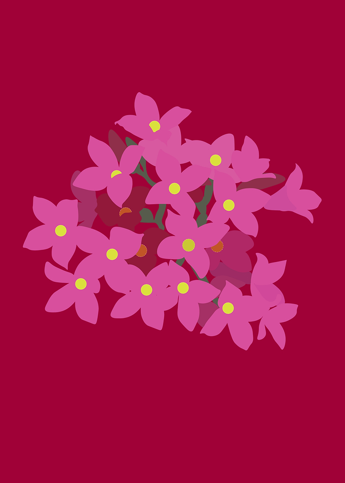 Pink blossom in raspberry