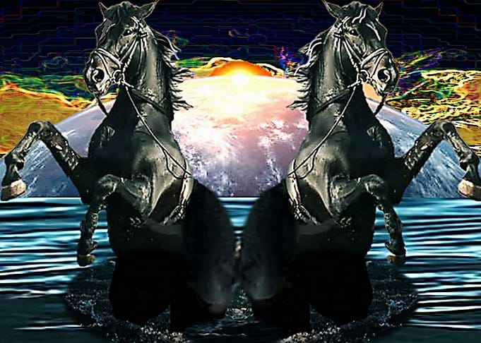 The Artistic Horse