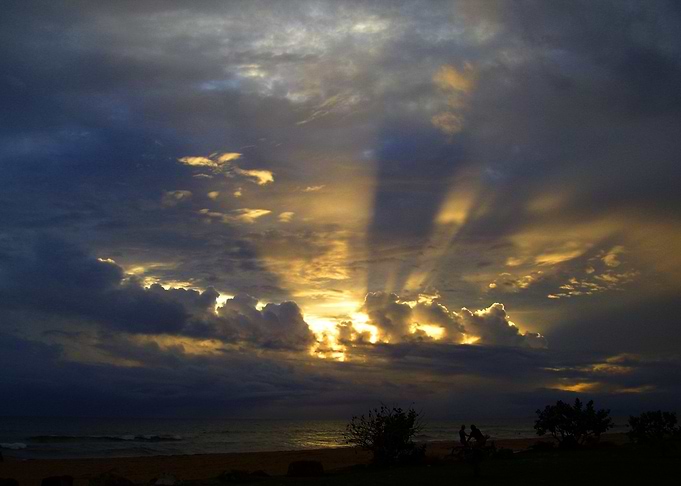 Sun Rays Kauai