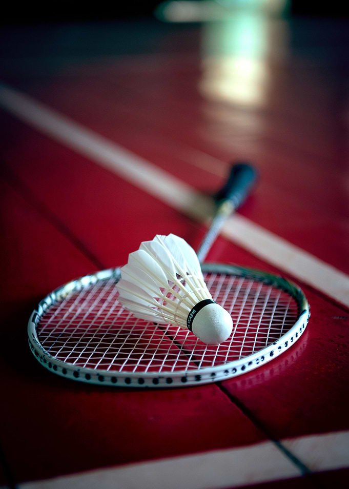 Lets Play Badminton