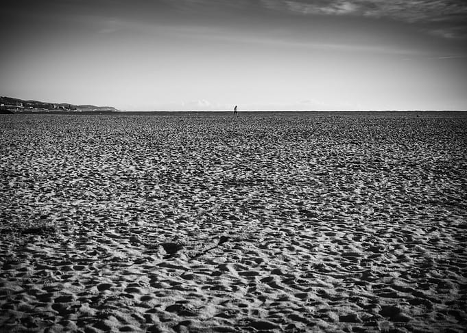 Lonely