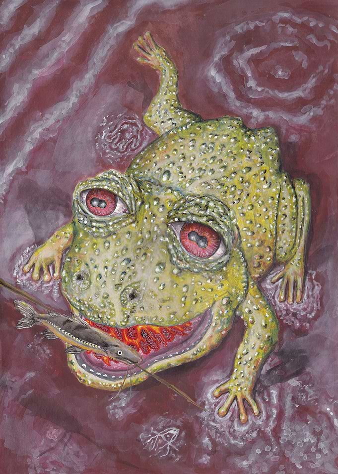 Sapo cururu
