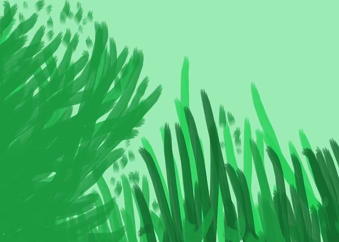 Green life of swan