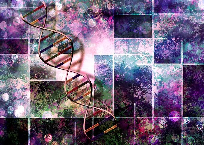 DNA colors