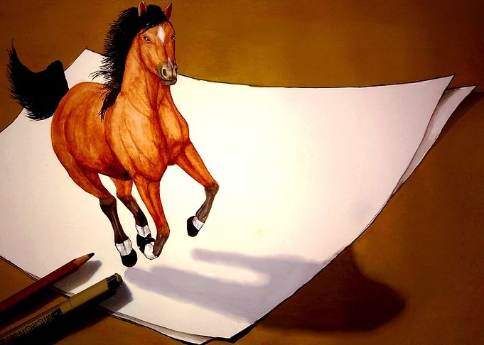 Horse 3D illusion Art