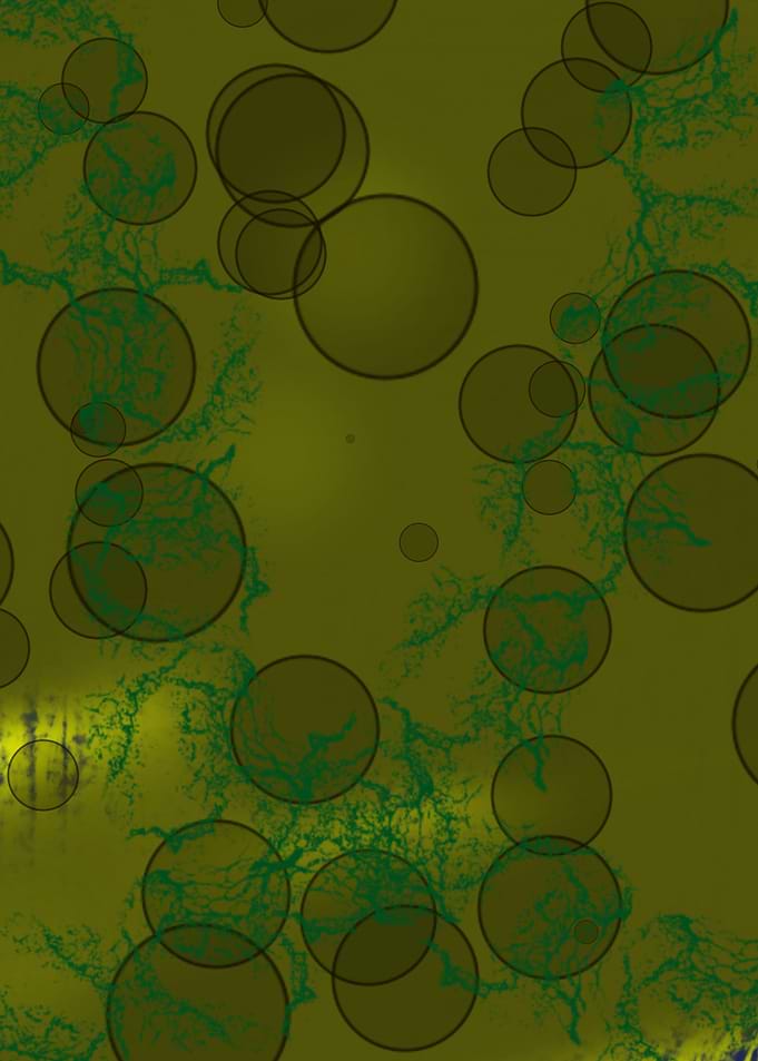 Bubble