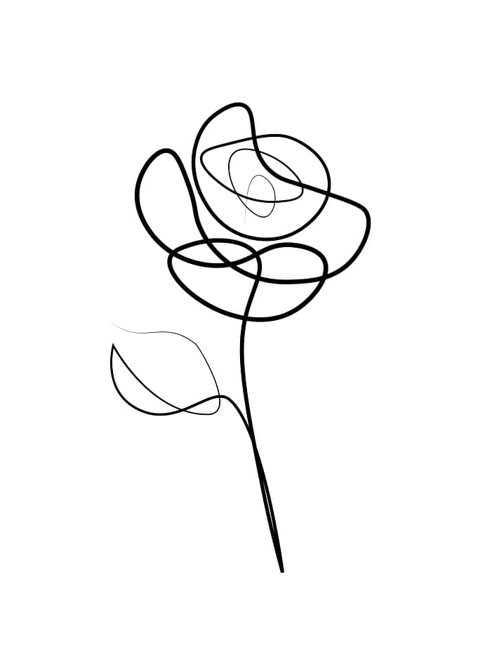 One line Rose