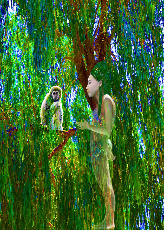 Jungle Connection