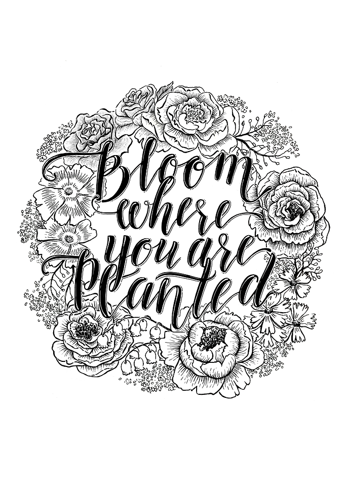 Bloom