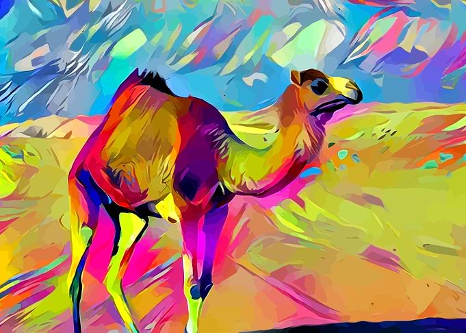 Dromedary
