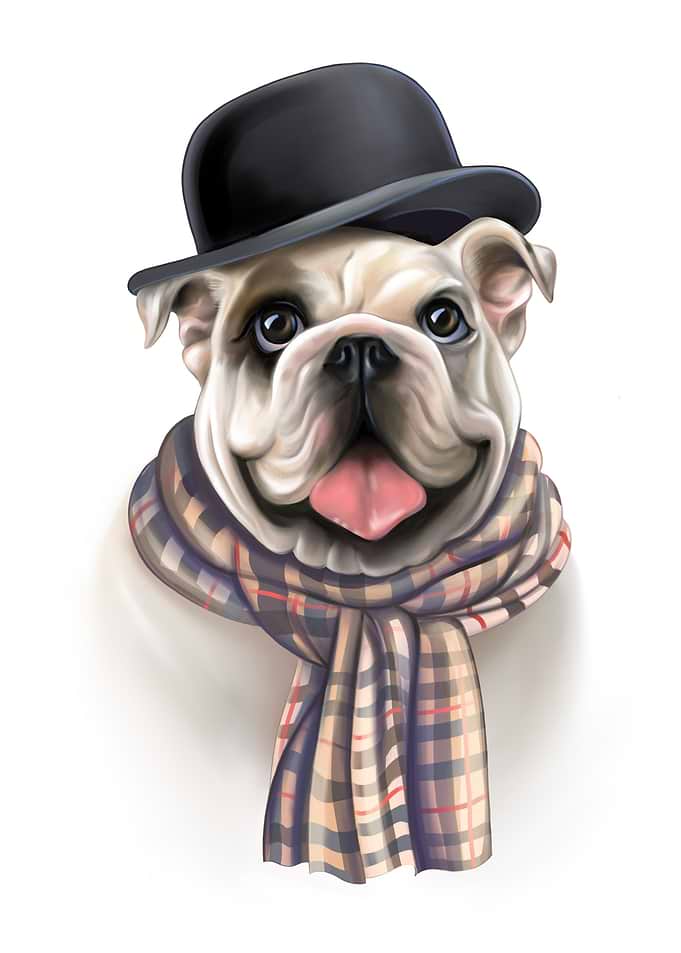 English Bulldog