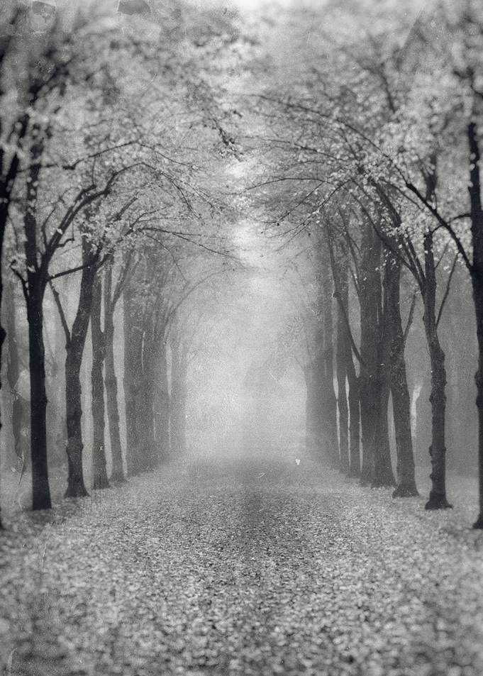 The alley