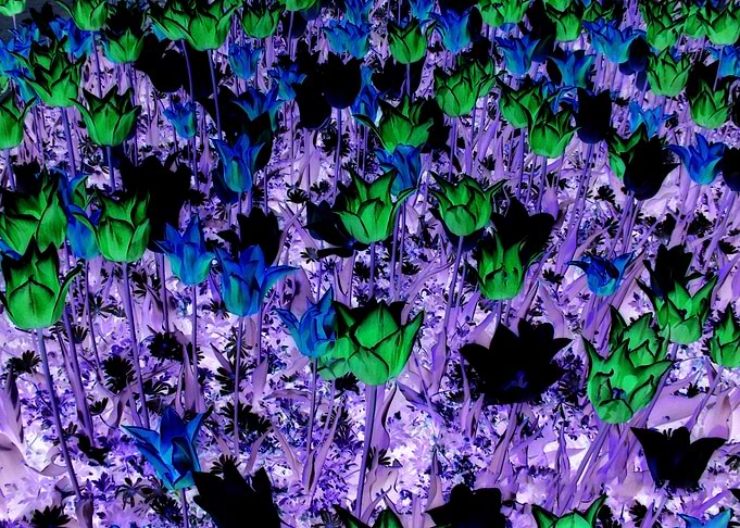Bloemen