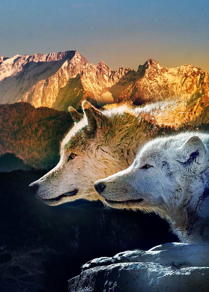 Wolf Mountain