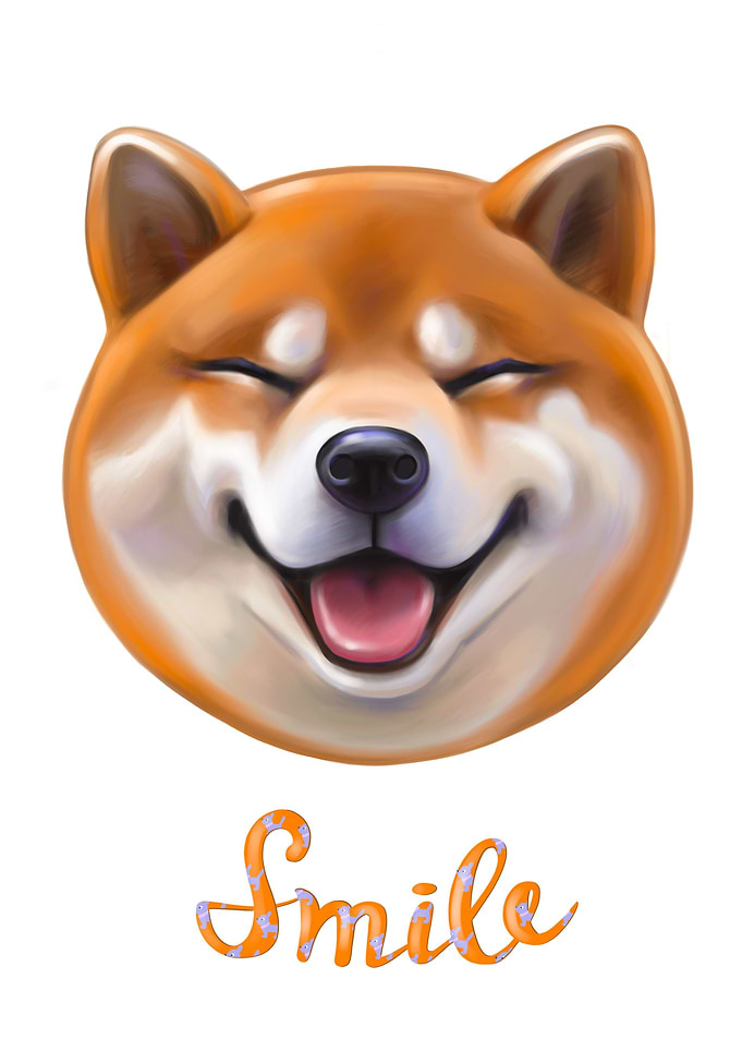 Shiba inu dog