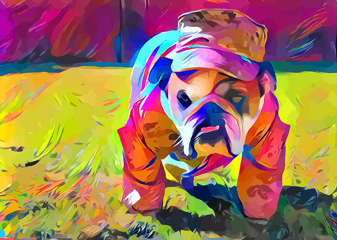 Military Bulldog