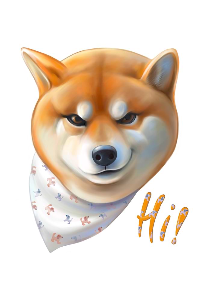Shiba inu dog