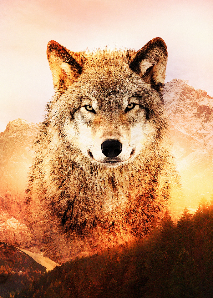 Wolf Mountain