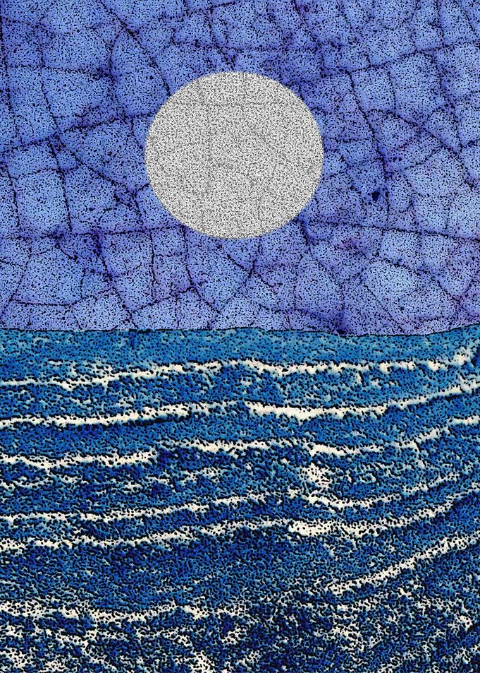 seascape 138