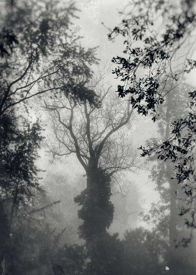 Somewhere in the fog