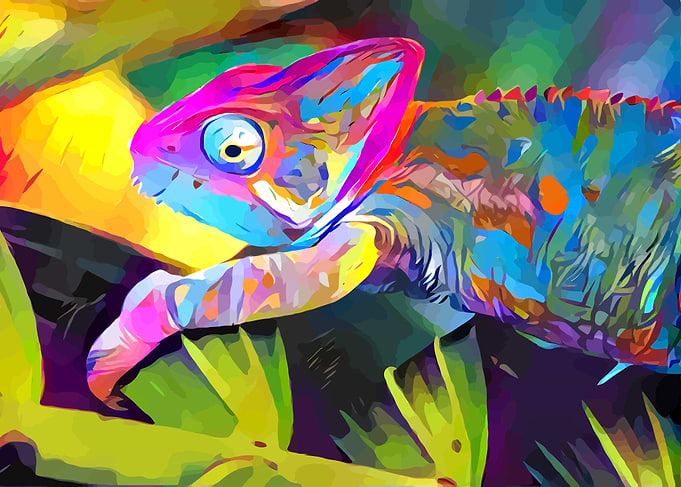 Chameleon