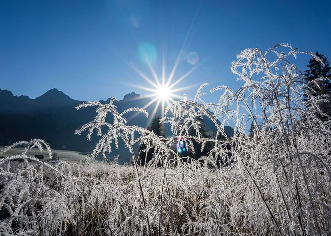 Alpine morning