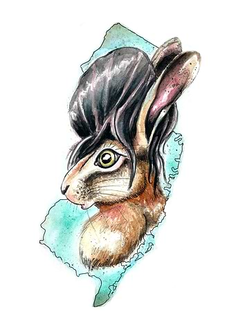 Jersey Hare
