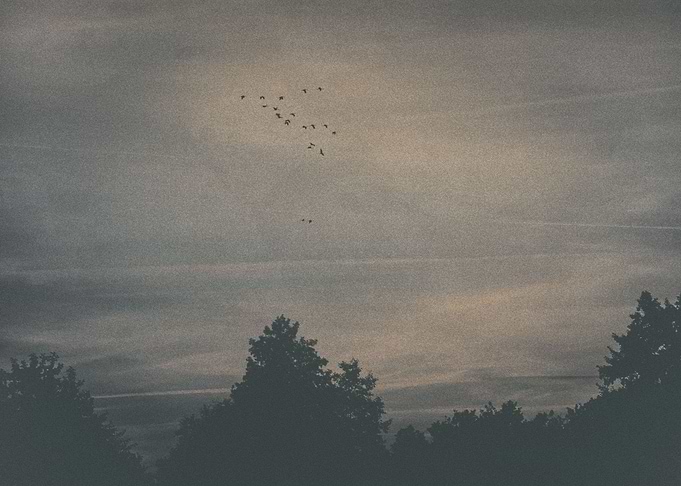 In the morning