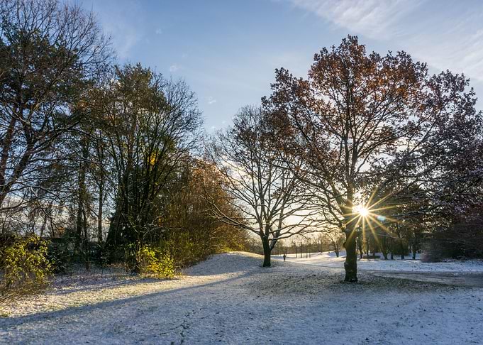 Morning in Munich