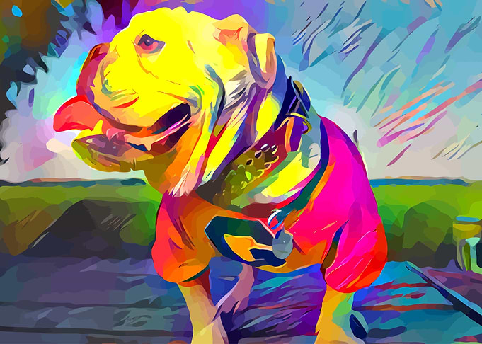Quarterback Bulldog